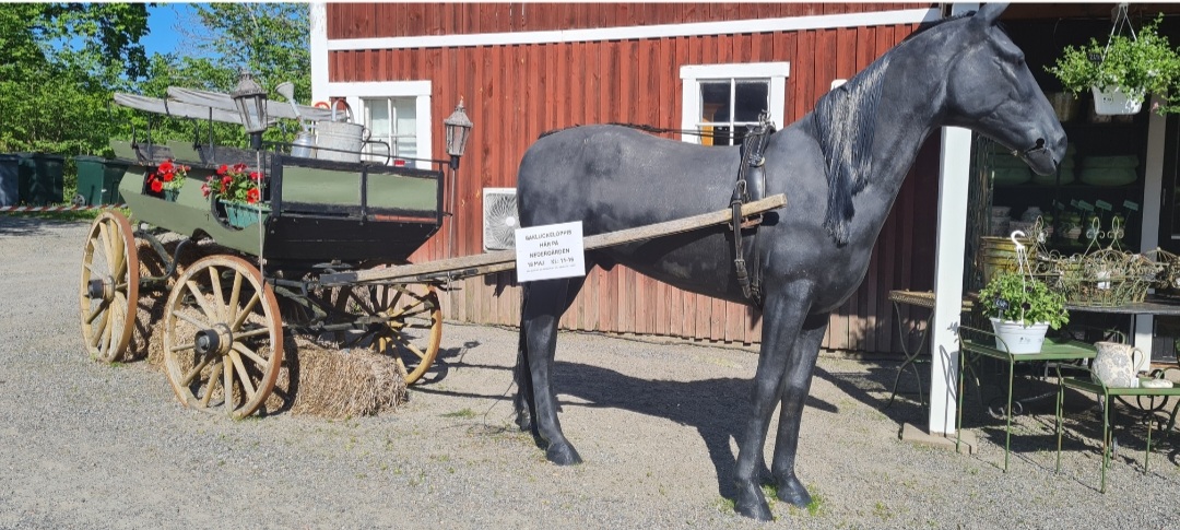 Inred trädgården med en häst i gjutjärn och kärra